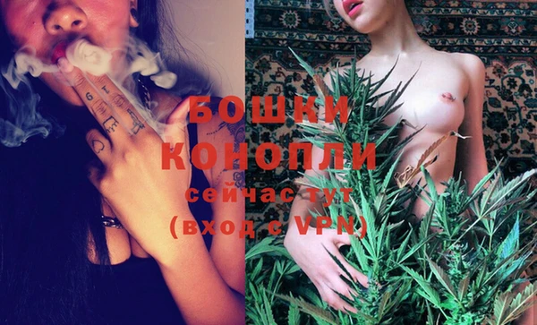 ПСИЛОЦИБИНОВЫЕ ГРИБЫ Баксан